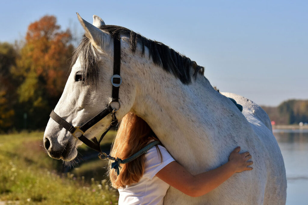 équitation éthologique