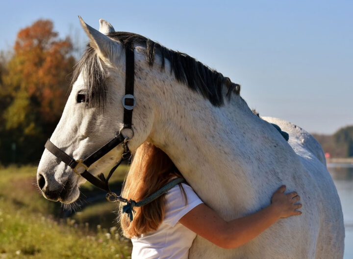 équitation éthologique