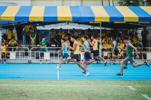 Sport et environnement