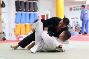 Pratique du Sambo