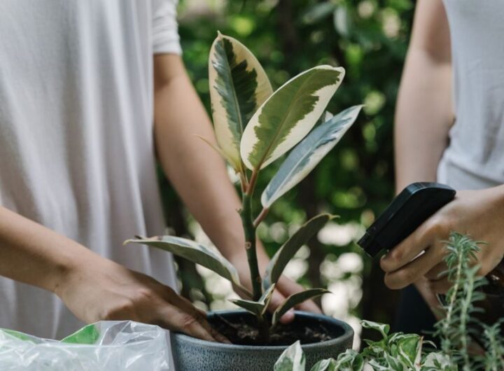 bricolage et jardinage