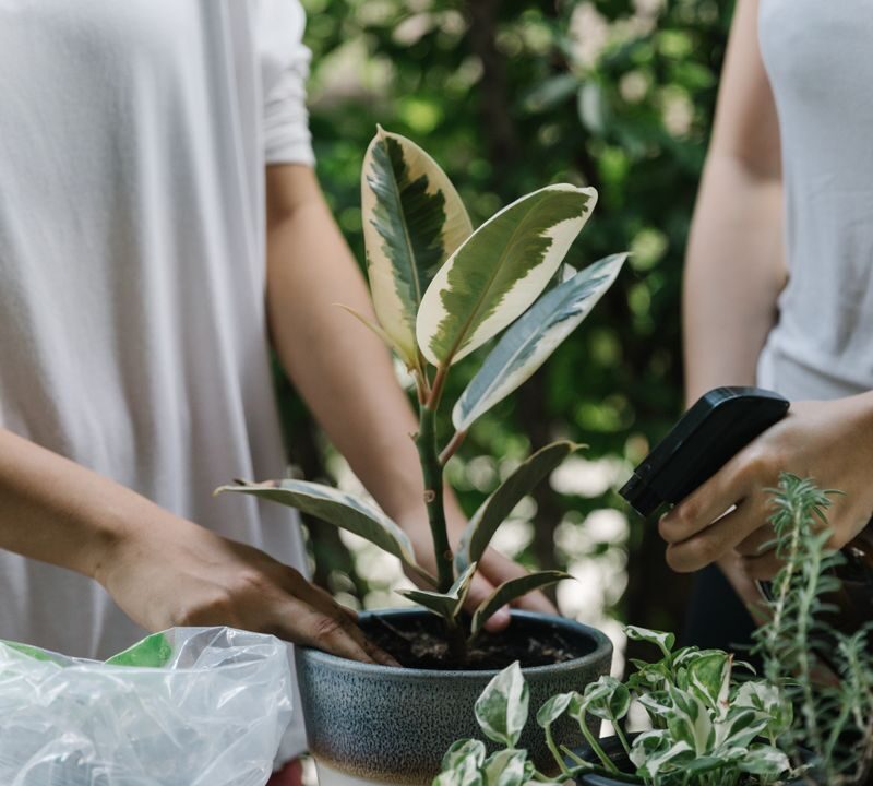 bricolage et jardinage