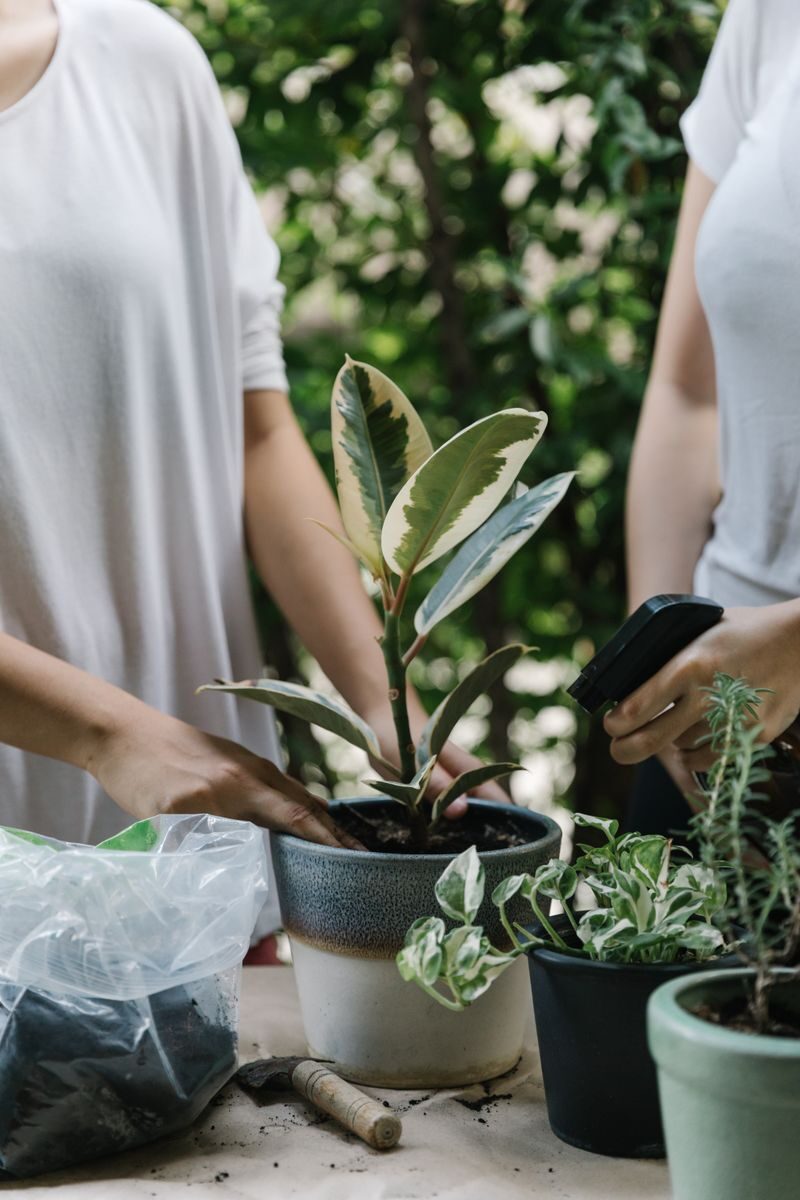 bricolage et jardinage